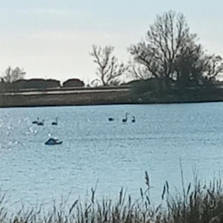 Aigues Mortes Studio De Vacances En Camargue מראה חיצוני תמונה