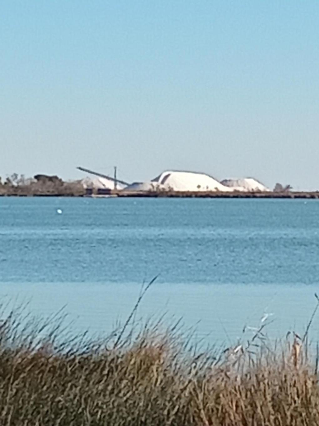 Aigues Mortes Studio De Vacances En Camargue מראה חיצוני תמונה